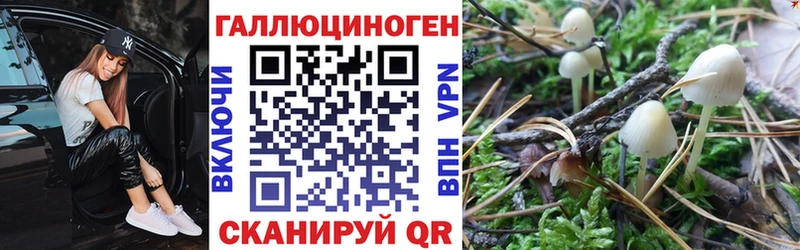 Псилоцибиновые грибы Psilocybe  Хвалынск 